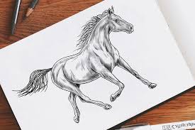 How to Draw a Horse - A Detailed and Easy Horse Drawing Tutorial