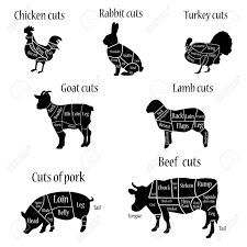 Vector Illustration Turkey And Lamb Goat Chicken Rabbit Cow