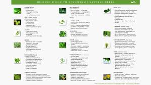 Unmistakable Herb Picture Chart Medicinal Herb Chart Want To