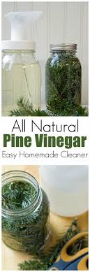 pine vinegar homemade kitchen cleaner