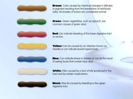 Download Stool Color Chart For Free Tidyform Stool Light In