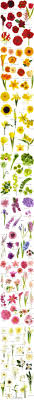 A Very Handy Flower Chart Organised By Colour Flower Chart