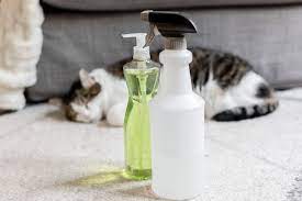 9 natural flea repellents for cats