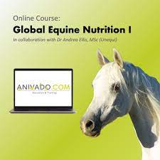 anivado global equine nutrition i