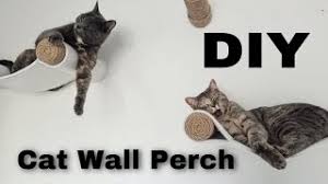 diy cat wall perch hammock shelf easy