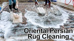 oriental rug cleaning pet odor