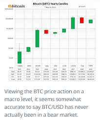This Macro Chart Shows Bitcoin Has Never Seen A Bear Market