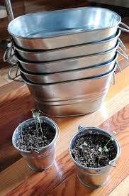 galvanized containers for gardening