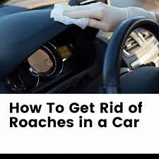 how to get rid of roaches in a car