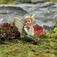 my fairy gardens ebay s