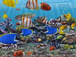 3d Fish Screensaver Free Virtual Fish Aquarium Download