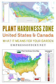 how to find your plant hardiness zone