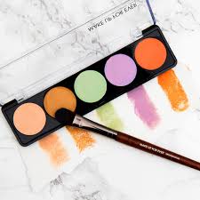 makeup forever 5 camouflage palette