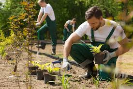 Sie bauen, pflegen, sanieren und pflanzen außenanlagen, insbesondere grünanlagen aller art. Gartenbau 2018 Mehr Arbeitsunfalle Und Berufskrankheiten Taspo De