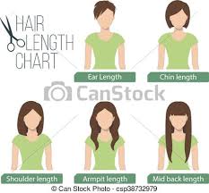 Hair Length Chart Front View
