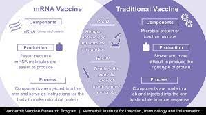 How Mrna Vaccines From Pfizer And Moderna Work Why They Re A Breakthrough And Why They Need To Be Kept So Cold