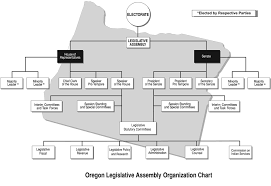 18 Punctilious Legislative Process Chart