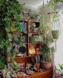 50 beautiful indoor plants design in