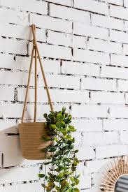 Wall Design Hanging Tree Pot