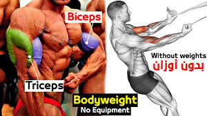 biceps and triceps without equipment