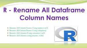 r rename all dataframe column names