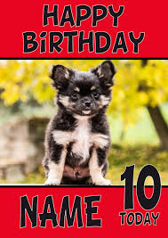 Download in under 30 seconds. Black Chihuahua Puppy Dogs And Puppies Happy Birthday Celebrity Facemasks Com