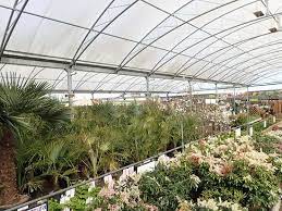 picture of sapcote garden centre ltd