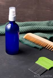 homemade lice prevention spray and