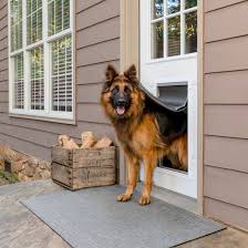 12 Practical Doggy Doors For Large Dogs
