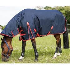 horse rugs at equestrian wolrd