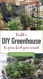 a diy greenhouse for growing food year