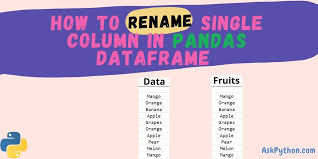 single column in pandas dataframe