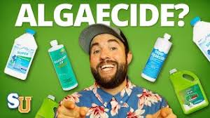 the truth about using algaecide in your