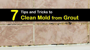 clean mold from grout