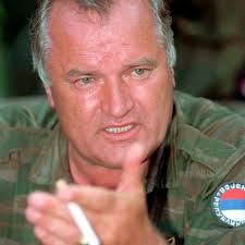 Doctors to judge if Mladic fit to appear in court