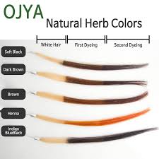 Ojya Hair Color Organic Herbal Dye 100g