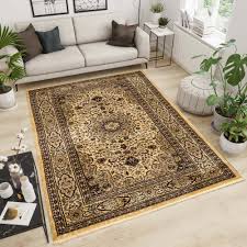 traditional persian carpet rugs