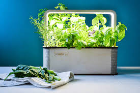 Greenbox Automatic Smart Indoor Garden