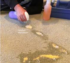 how to get bleach spots out of carpeting