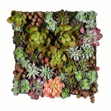 Artificial Succulent Wall Arrangement