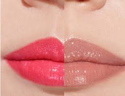 chanel rouge coco flash 2019 lipsticks