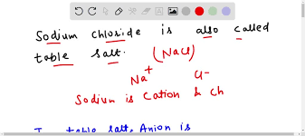 solved in table salt the anion is