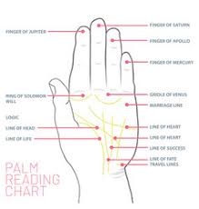 Palm Reading Vector Images Over 210