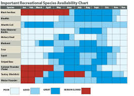 Availability Chart Rhode Island Saltwater Fishing