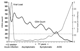 The Course Of Hiv Disease Thebodypro