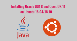 install oracle java 8 and openjdk 11