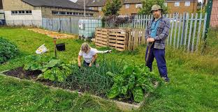 Community Garden Founder Nurtures A