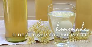 how to make elderflower cordial