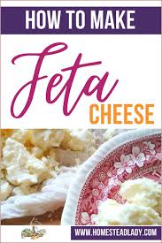 how to make feta cheese homestead lady