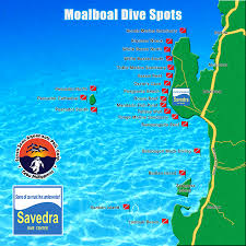 moalboal dive spots savedra dive center